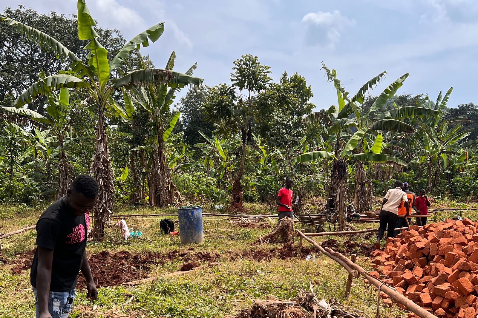 Workers and volunteers marking out the school foundations among banana trees